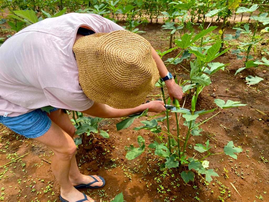 Moni Farm House Wilpattu Nochchiyagama ภายนอก รูปภาพ