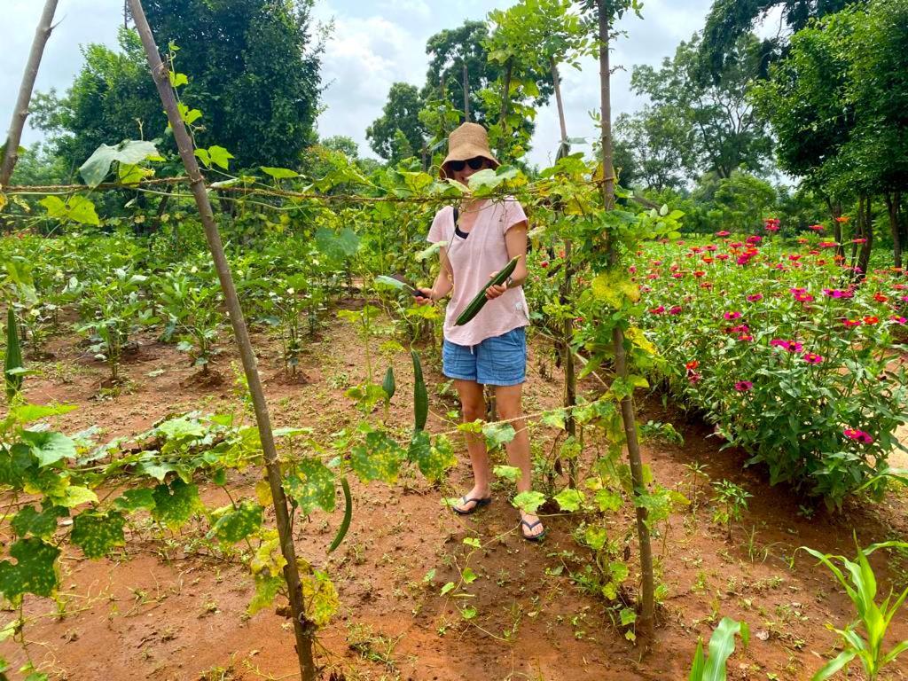 Moni Farm House Wilpattu Nochchiyagama ภายนอก รูปภาพ