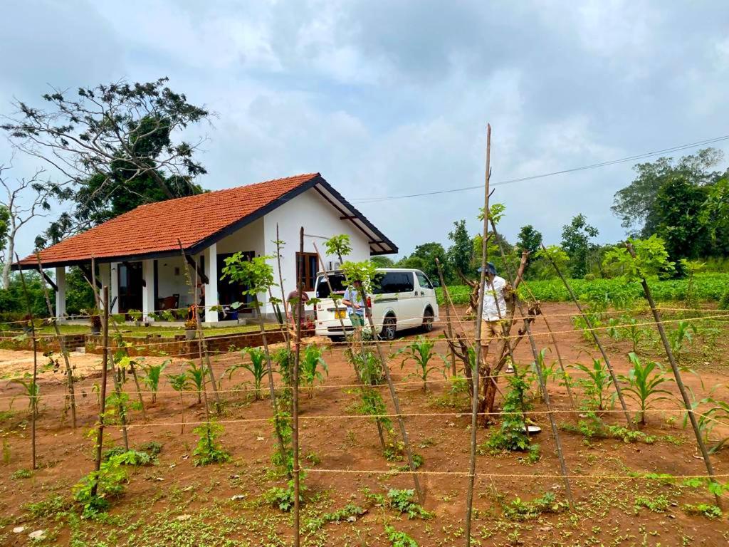 Moni Farm House Wilpattu Nochchiyagama ภายนอก รูปภาพ