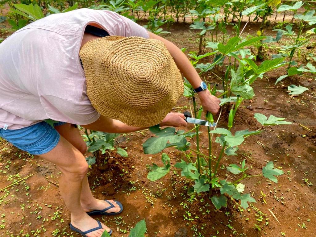 Moni Farm House Wilpattu Nochchiyagama ภายนอก รูปภาพ