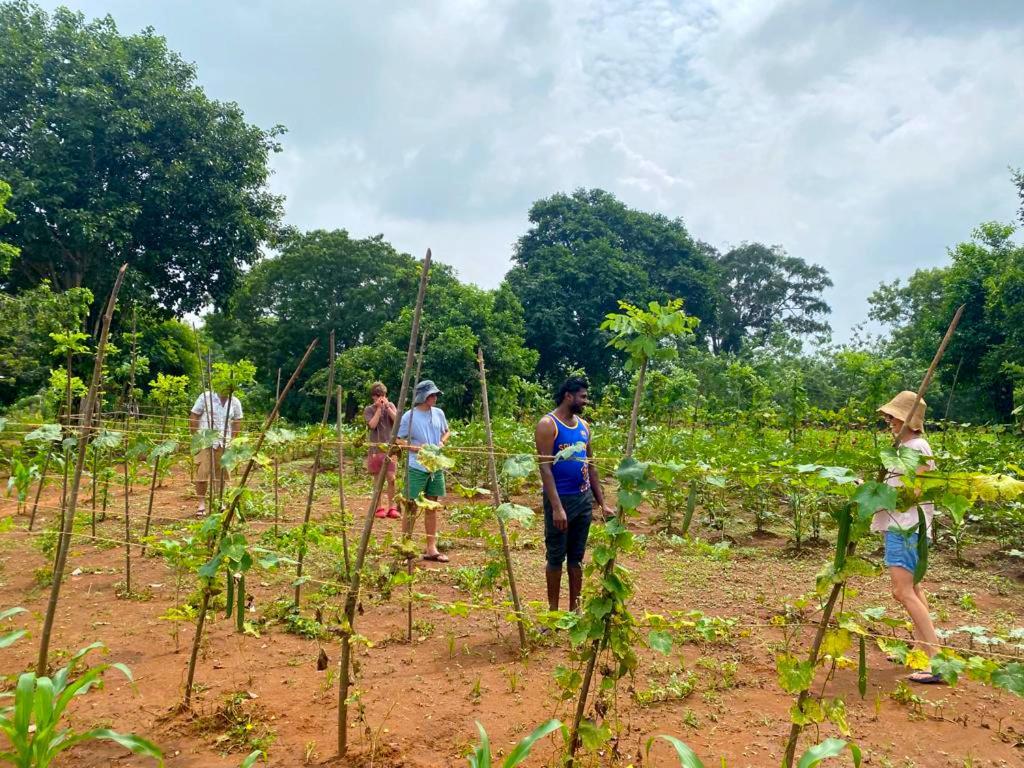 Moni Farm House Wilpattu Nochchiyagama ภายนอก รูปภาพ