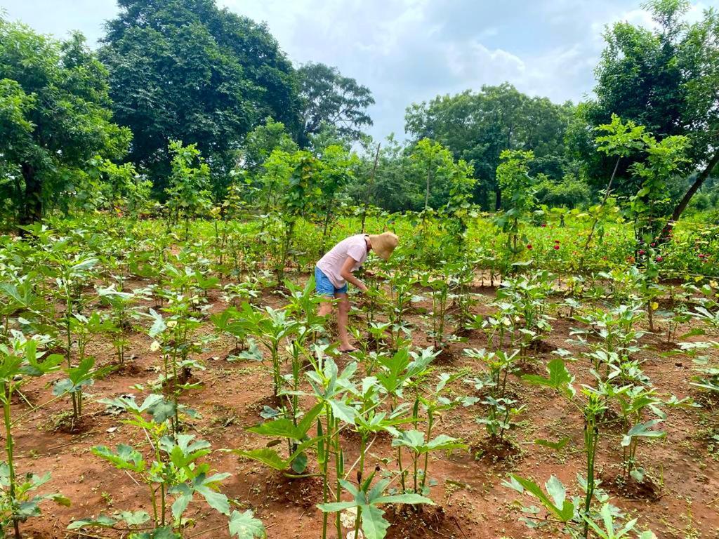 Moni Farm House Wilpattu Nochchiyagama ภายนอก รูปภาพ