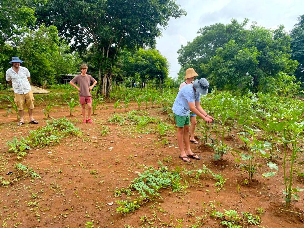 Moni Farm House Wilpattu Nochchiyagama ภายนอก รูปภาพ