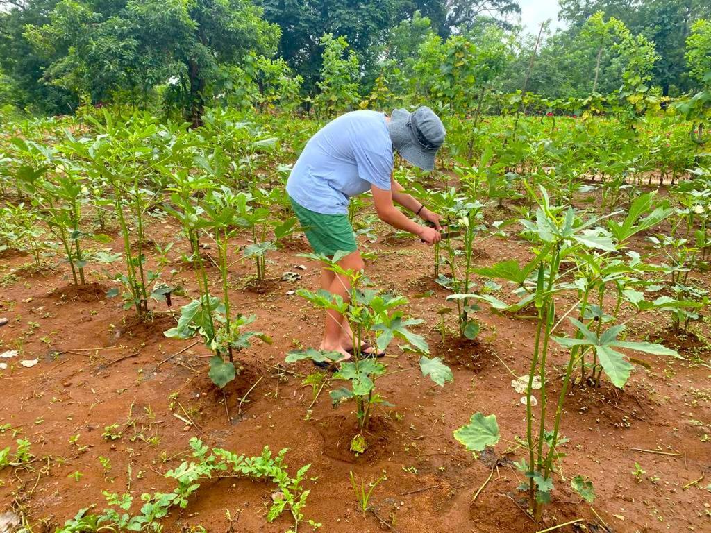 Moni Farm House Wilpattu Nochchiyagama ภายนอก รูปภาพ