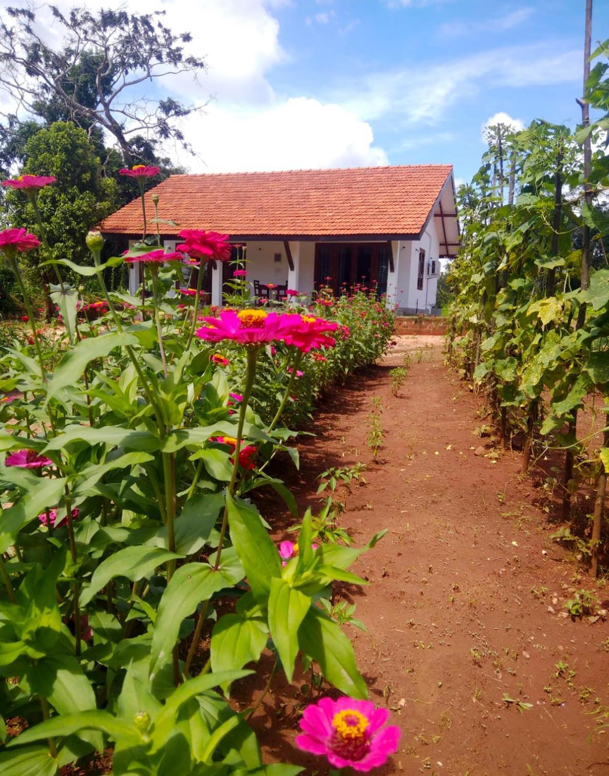Moni Farm House Wilpattu Nochchiyagama ภายนอก รูปภาพ