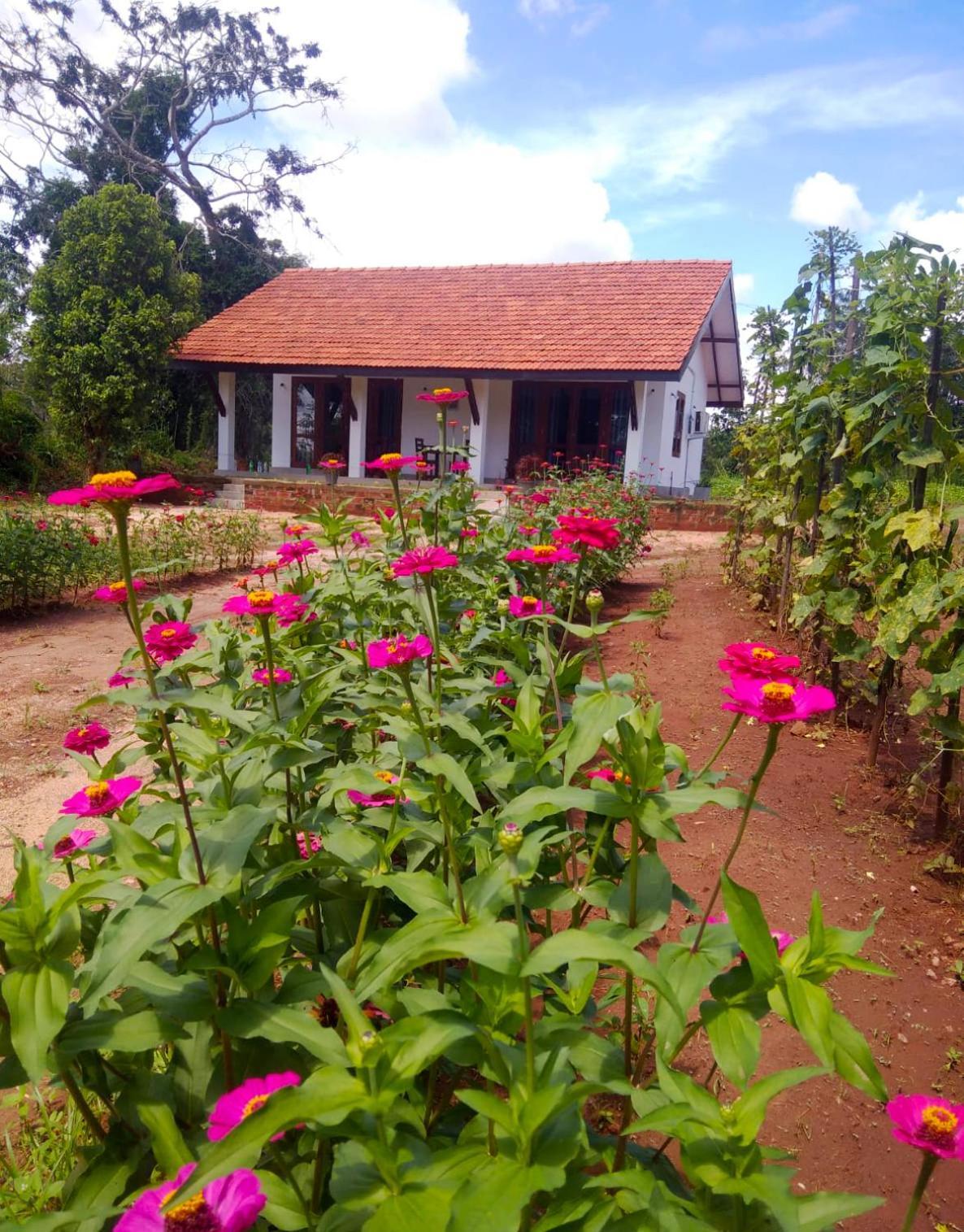 Moni Farm House Wilpattu Nochchiyagama ภายนอก รูปภาพ