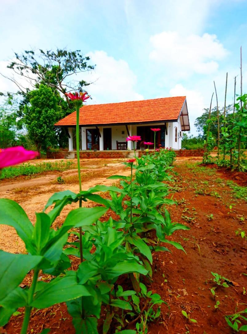 Moni Farm House Wilpattu Nochchiyagama ภายนอก รูปภาพ