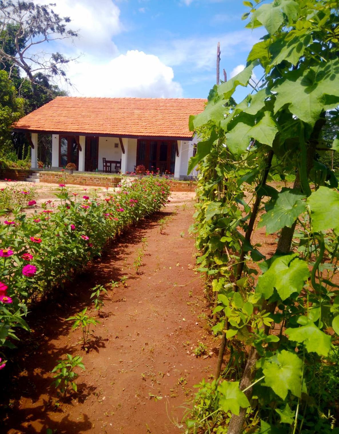 Moni Farm House Wilpattu Nochchiyagama ภายนอก รูปภาพ