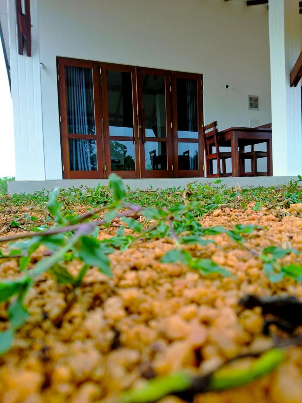 Moni Farm House Wilpattu Nochchiyagama ภายนอก รูปภาพ